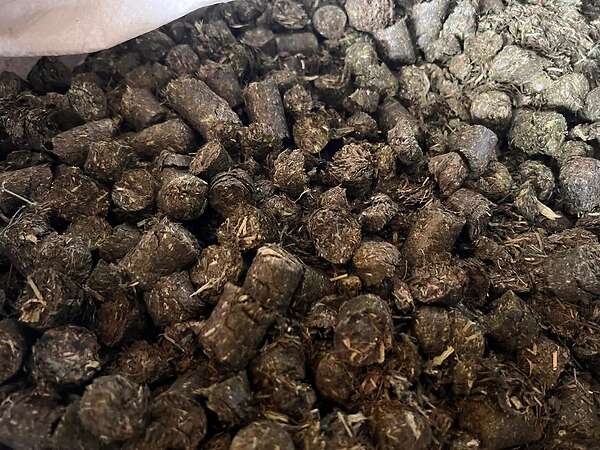 Heucobs / Pferdecobs von ökologischen Flächen - Bild 2