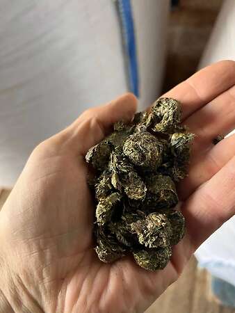 Heucobs / Pferdecobs von ökologischen Flächen - Bild 3