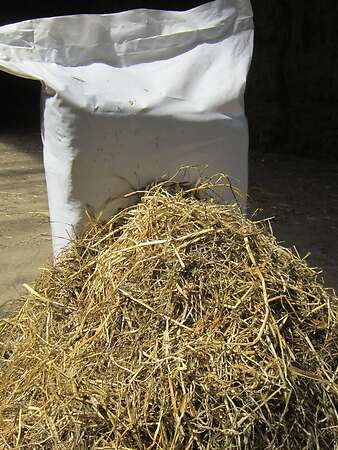 Hochwertige Heulage in handlichen Kleinballen auf einer Palette - Bild 2