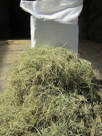 Hochwertiges Heu in handlichen Kleinballen auf einer Palette - Bild 2