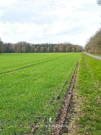 ca. 4,5 ha landwirtschaftliche Nutzfläche bei Warendorf zu verkaufen - Bild 1