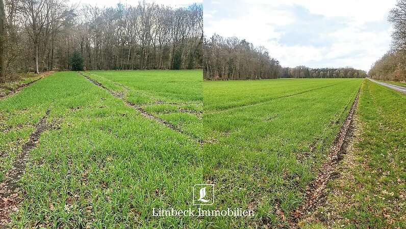 ca. 4,5 ha landwirtschaftliche Nutzfläche bei Warendorf zu verkaufen
