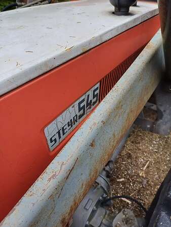 Steyer zu verkaufen - Bild 1