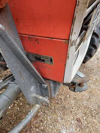 Steyer zu verkaufen - Bild 2