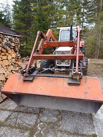 Steyer zu verkaufen - Bild 9