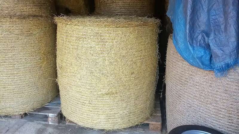 Heu Rundballenheu Rundballen Heuballen Transport - Bild 1