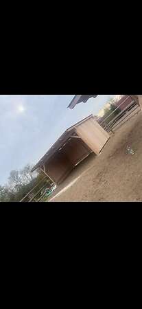 Weidehütte Unterstand - Bild 2