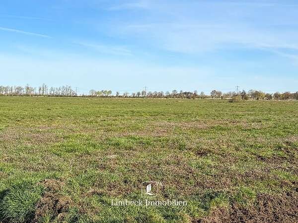 ca. 14 ha attraktives Grünland im ostfriesischen Rheiderland - Bild 1