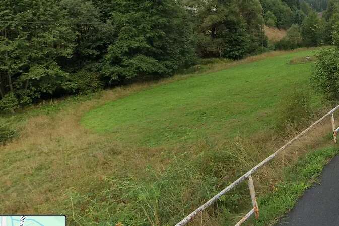 Grünland in Neuhaus am Rennweg (Ortsteil Lichte) zu verkaufen - Bild 2