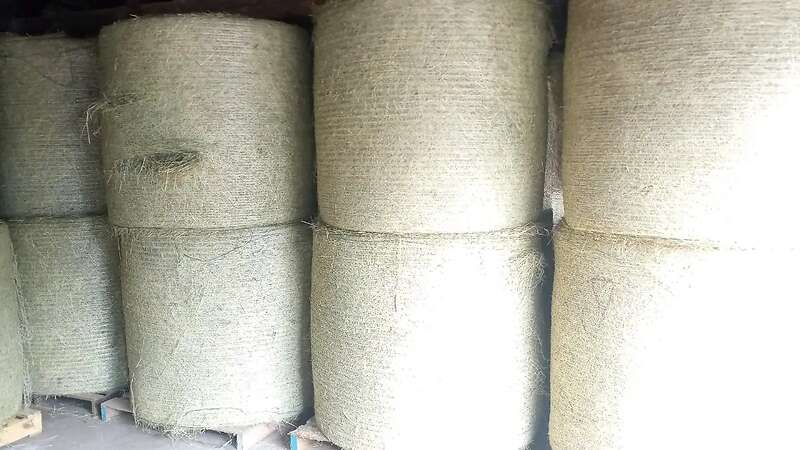 Heu Heurundballen Pferdeheu Bio-Heu Heuballen Wiesenheu - Bild 1