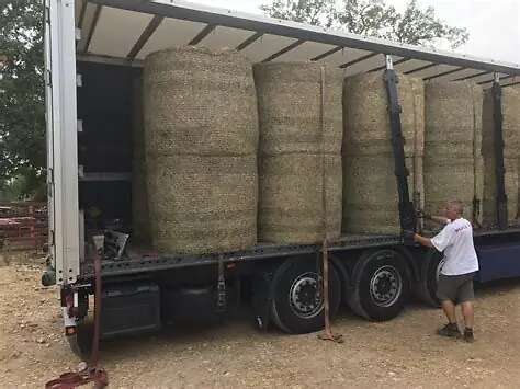 Bio-Heu in Rundballen aus der Ernte 2025-2026 zu verkaufen,Transport.möglich - Bild 1