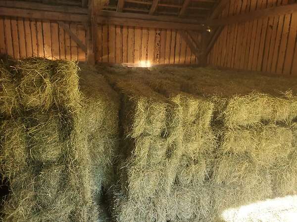 Heu in Kleinballen - Bild 1