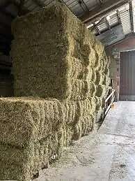 Bio Heu in Quaderballen - Bild 1