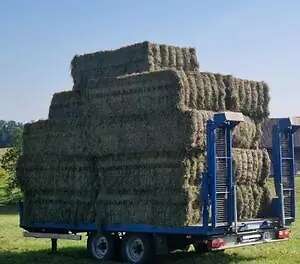 Bio Heu in Quaderballen - Bild 2