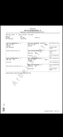 Gekörter Rhönschaf(e)bock - WK I - 8/7/7 - Bild 4