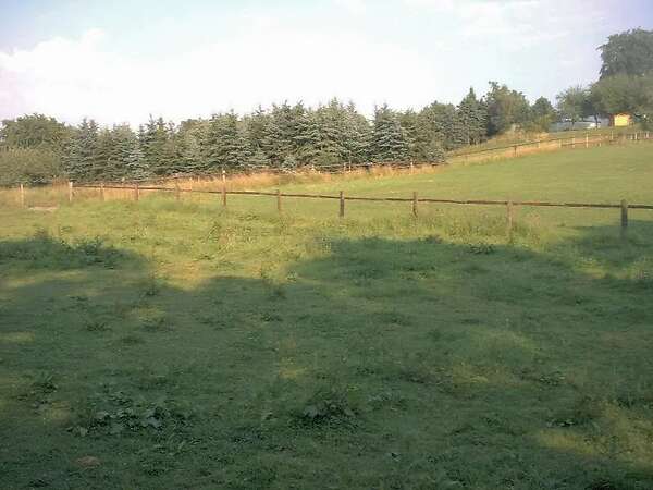 Ackerland und Grünland gesucht - Bild 1