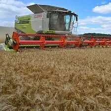 Ackerland und Grünland gesucht - Bild 2