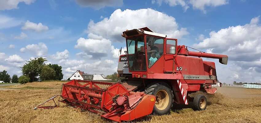 Mähdrescher MF 520 zuverkaufen - Bild 2