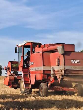 Mähdrescher MF 520 zuverkaufen - Bild 3