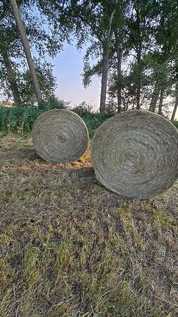 Heu Rundballen - Bild 1