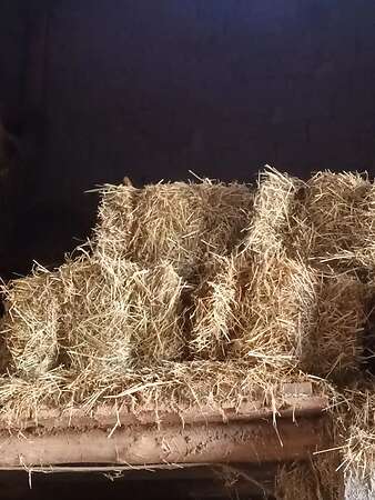 Heu HD Ballen  Ernte 2025 - Bild 1