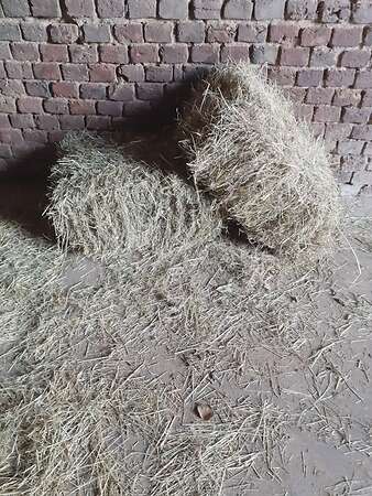 Heu HD Ballen  Ernte 2025 - Bild 1