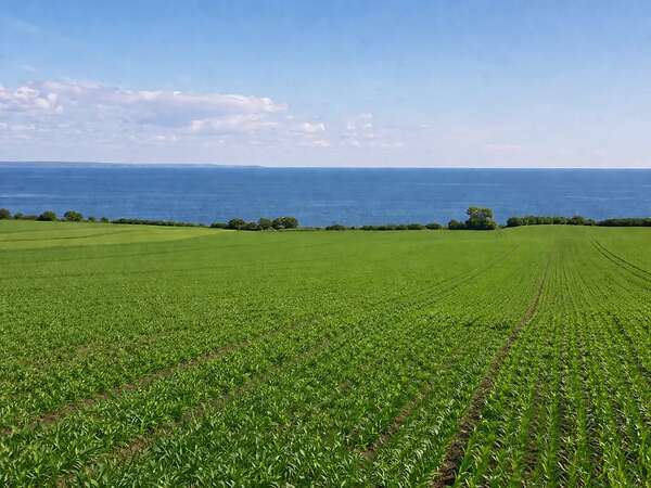 Ackerland auf Rügen - ideale Investitionsmöglichkeit - Bild 1