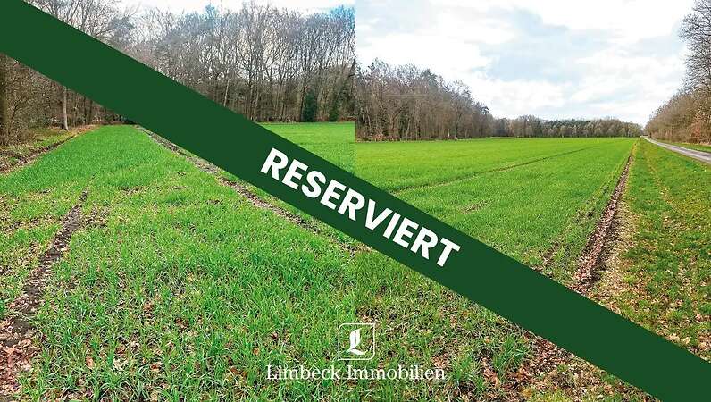 ca. 4,5 ha landwirtschaftliche Nutzfläche bei Warendorf zu verkaufen