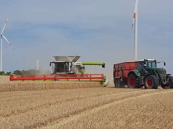 (Nachwuchs-) Ackerbauleiter (m/w/d) Kartoffelvermehrungsbetrieb, M.V. - Bild 2