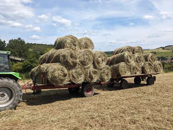 Heu Rundballen 1,20m x0,90m - Bild 1