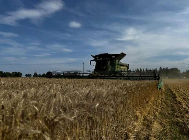 Betriebsleiter Ackerbau, nähe Greifswald, Mecklenburg-Vorpommern (m/w/d) - Bild 2