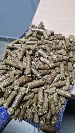 Strohpellets als Einstreu – Big Bag / LKW-Mengen - Bild 2