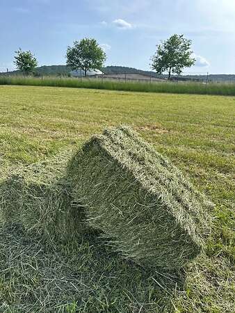 Heu - Bild 1