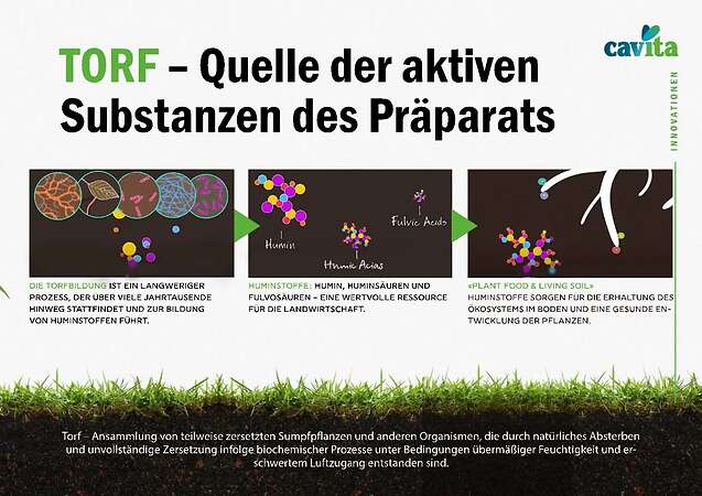 Ökologisches Flüssigpräparat für Boden und Wurzelbereich Cavita Biocomplex - Bild 4