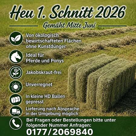 Heu 1. Schnitt in HD Ballen zu verkaufen - Bild 1