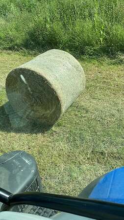 Bio-Heu - Bild 1