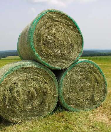 Heuballen - Bild 1