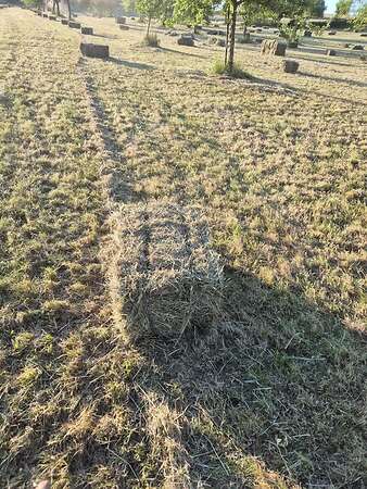 Heu HD ballen 1 Schnitt 2026 - Bild 1