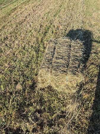 Heu HD ballen 1 Schnitt 2026 - Bild 2