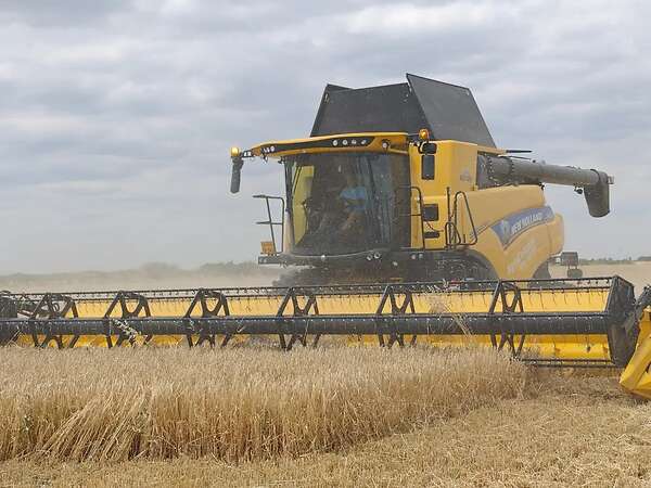Attraktiver konventioneller Ackerbaubetrieb mit1.800 ha in Südwestrumänien. - Bild 1