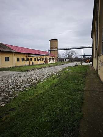 Attraktiver konventioneller Ackerbaubetrieb mit1.800 ha in Südwestrumänien. - Bild 3