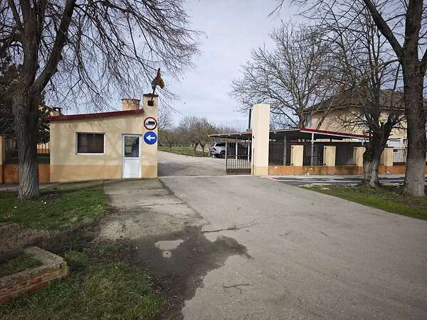 Attraktiver konventioneller Ackerbaubetrieb mit1.800 ha in Südwestrumänien. - Bild 4