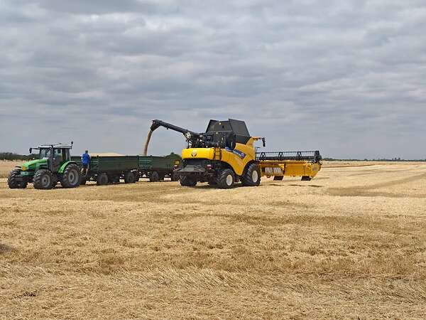 Attraktiver konventioneller Ackerbaubetrieb mit1.800 ha in Südwestrumänien. - Bild 6