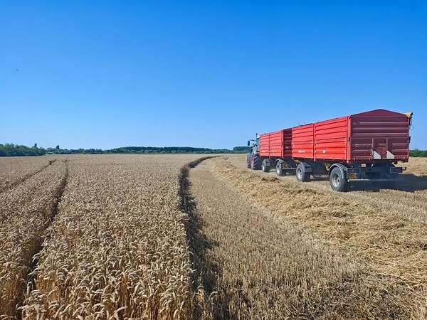 Attraktiver konventioneller Ackerbaubetrieb mit1.800 ha in Südwestrumänien. - Bild 11