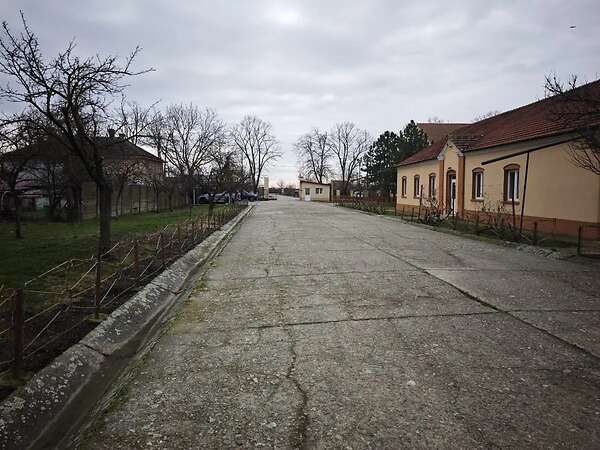 Attraktiver konventioneller Ackerbaubetrieb mit1.800 ha in Südwestrumänien. - Bild 15