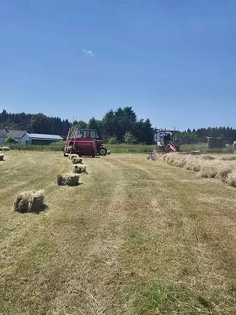 HD Ballen in BIO Quallität - Bild 1