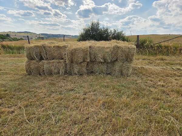 HD-Ballen 1. Schnitt 2026 zu verkaufen - Bild 1
