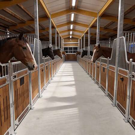 Pferdeboxen kaufen - Innenboxen & Stallfronten für den Stallbau | Stallboxen - Bild 14