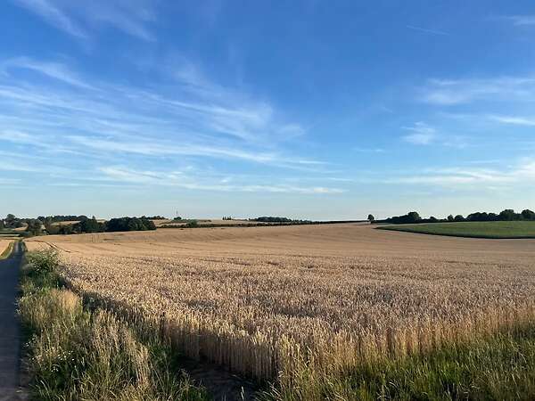 17ha Ackerland / Grünland in 61130 Nidderau - Bild 2