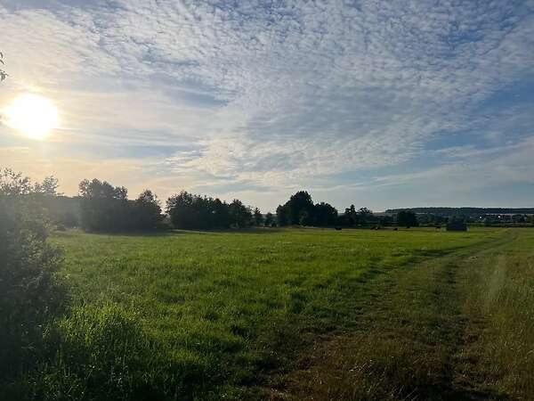 17ha Ackerland / Grünland in 61130 Nidderau - Bild 3